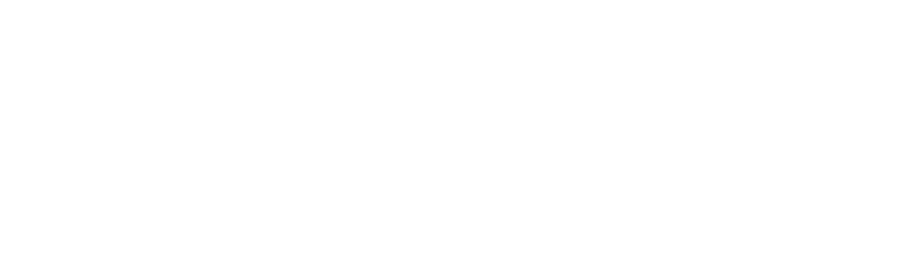 Nationwide Parking Control Logo
