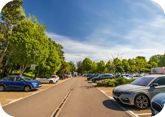 Parking lot with cars